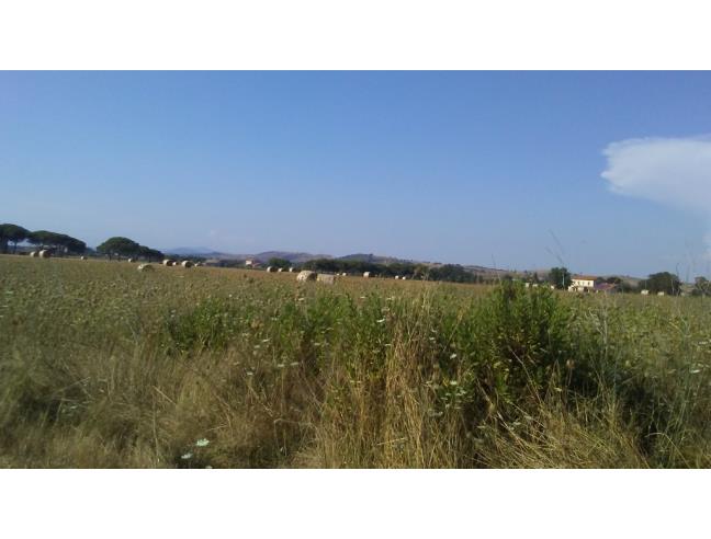Anteprima foto 1 - Terreno Agricolo/Coltura in Vendita a Grosseto - Alberese