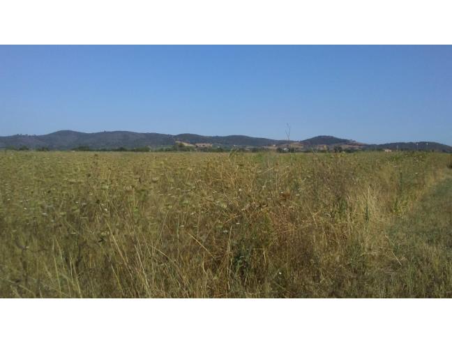 Anteprima foto 3 - Terreno Agricolo/Coltura in Vendita a Grosseto - Alberese