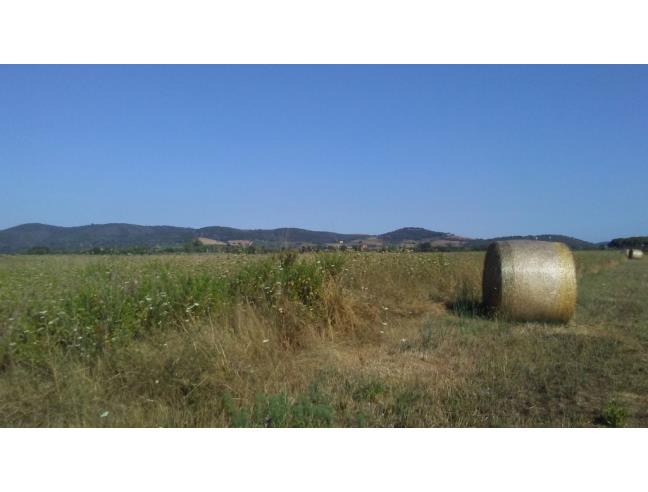 Anteprima foto 4 - Terreno Agricolo/Coltura in Vendita a Grosseto - Alberese