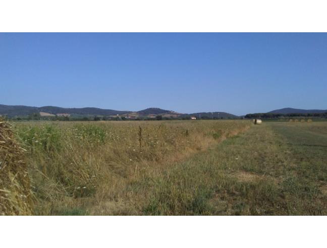 Anteprima foto 5 - Terreno Agricolo/Coltura in Vendita a Grosseto - Alberese