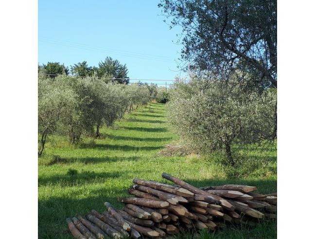 Anteprima foto 3 - Terreno Agricolo/Coltura in Vendita a Grosseto - Marina Di Grosseto