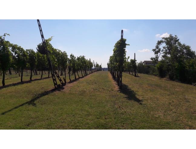 Anteprima foto 3 - Terreno Agricolo/Coltura in Vendita a Imola (Bologna)