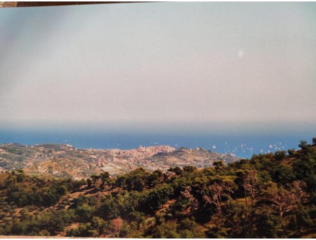 Anteprima foto 3 - Terreno Agricolo/Coltura in Vendita a Imperia (Imperia)