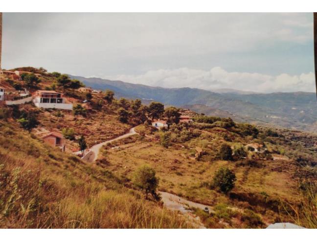 Anteprima foto 4 - Terreno Agricolo/Coltura in Vendita a Imperia (Imperia)