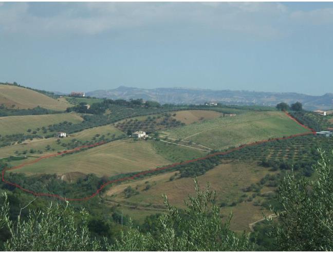 Anteprima foto 1 - Terreno Agricolo/Coltura in Vendita a Loreto Aprutino - Madonna Degli Angeli