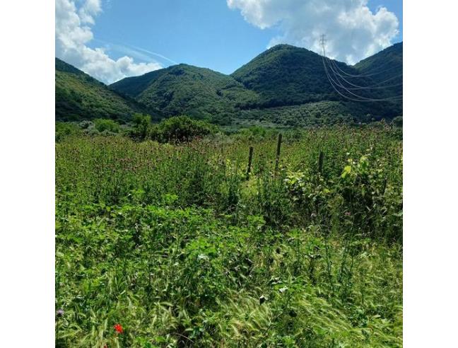 Anteprima foto 1 - Terreno Agricolo/Coltura in Vendita a Marcellina - Stazione Di Palombara-Marcellina