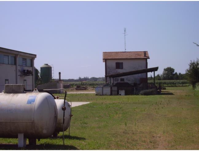 Anteprima foto 8 - Terreno Agricolo/Coltura in Vendita a Mesola - Bosco Mesola