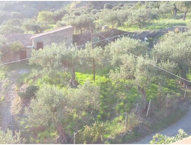 Anteprima foto 1 - Terreno Agricolo/Coltura in Vendita a Messina - Galati Inferiore