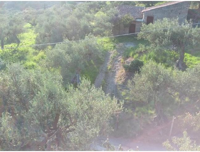 Anteprima foto 3 - Terreno Agricolo/Coltura in Vendita a Messina - Galati Inferiore