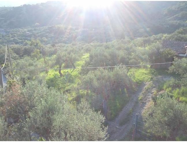 Anteprima foto 4 - Terreno Agricolo/Coltura in Vendita a Messina - Galati Inferiore
