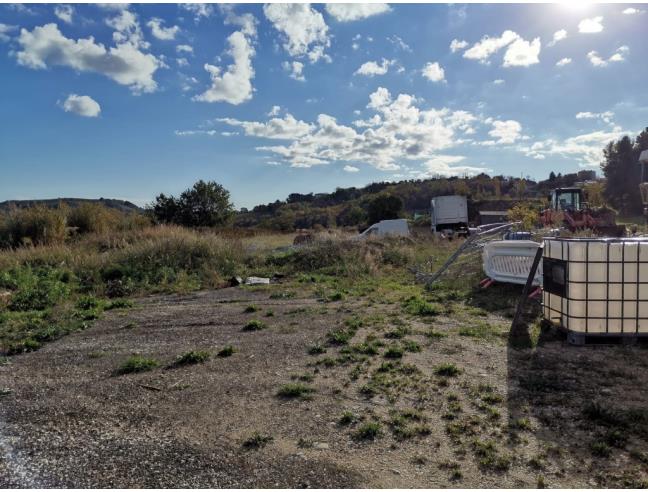 Anteprima foto 1 - Terreno Agricolo/Coltura in Vendita a Montegiorgio - Piane Di Montegiorgio