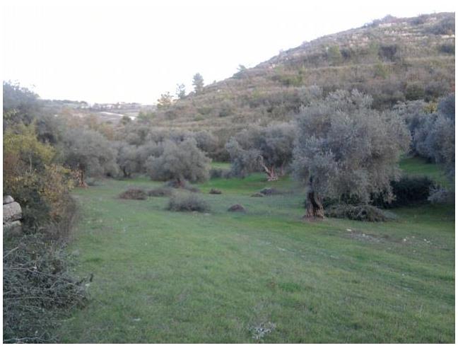 Anteprima foto 4 - Terreno Agricolo/Coltura in Vendita a Monterosso Almo (Ragusa)