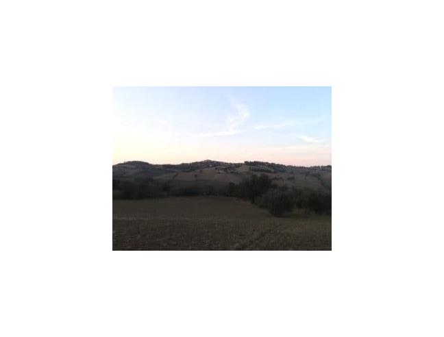 Anteprima foto 2 - Terreno Agricolo/Coltura in Vendita a Morrovalle (Macerata)