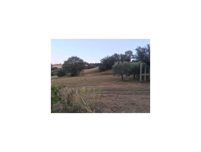 Anteprima foto 5 - Terreno Agricolo/Coltura in Vendita a Morrovalle (Macerata)
