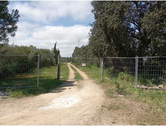 Anteprima foto 6 - Terreno Agricolo/Coltura in Vendita a Olmedo (Sassari)