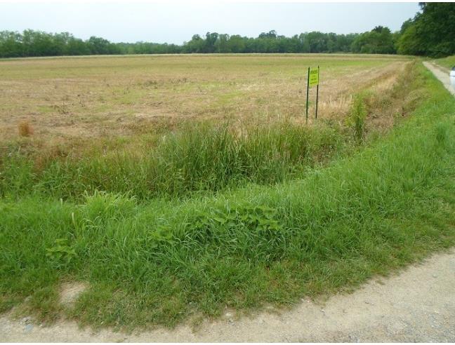 Anteprima foto 3 - Terreno Agricolo/Coltura in Vendita a Ornago (Monza e Brianza)