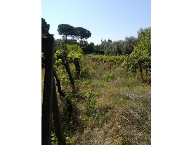 Anteprima foto 1 - Terreno Agricolo/Coltura in Vendita a Palombara Sabina - Stazzano