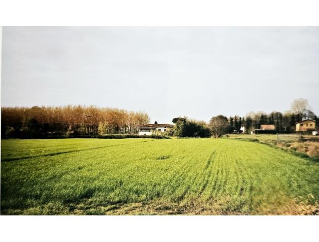 Anteprima foto 3 - Terreno Agricolo/Coltura in Vendita a Pietrasanta (Lucca)