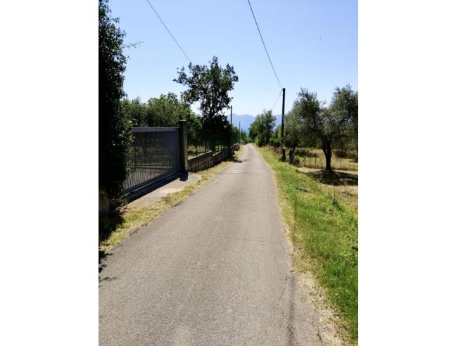 Anteprima foto 5 - Terreno Agricolo/Coltura in Vendita a Prossedi (Latina)