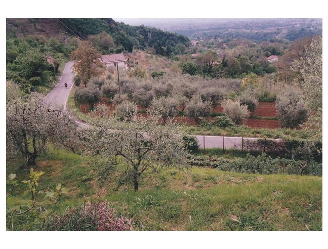 Anteprima foto 6 - Terreno Agricolo/Coltura in Vendita a Rocca di Cave (Roma)