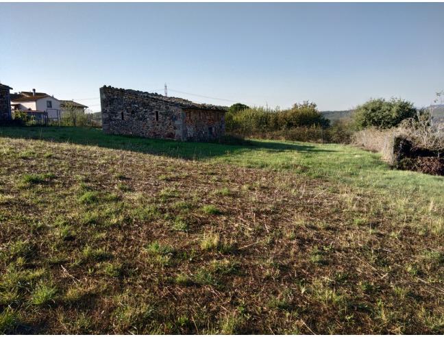 Anteprima foto 3 - Terreno Agricolo/Coltura in Vendita a Roccastrada - Ribolla