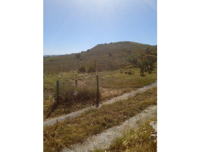 Anteprima foto 5 - Terreno Agricolo/Coltura in Vendita a San Fratello (Messina)