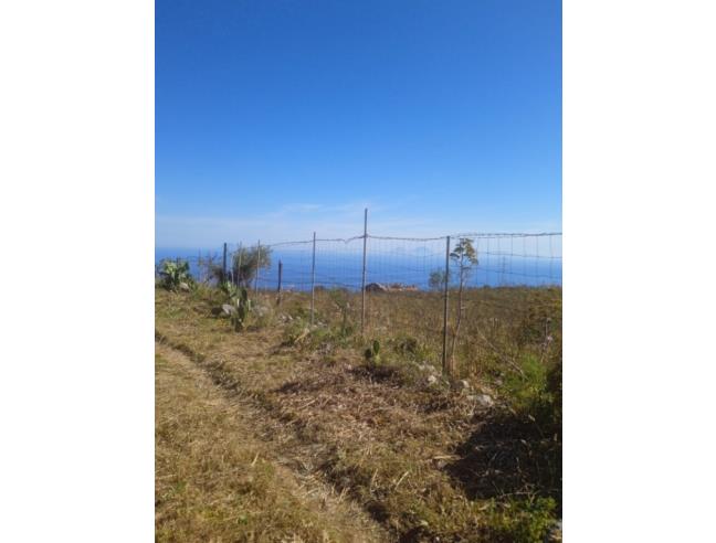 Anteprima foto 6 - Terreno Agricolo/Coltura in Vendita a San Fratello (Messina)