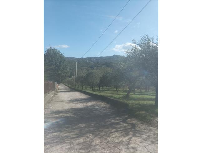 Anteprima foto 1 - Terreno Agricolo/Coltura in Vendita a San Martino Valle Caudina (Avellino)