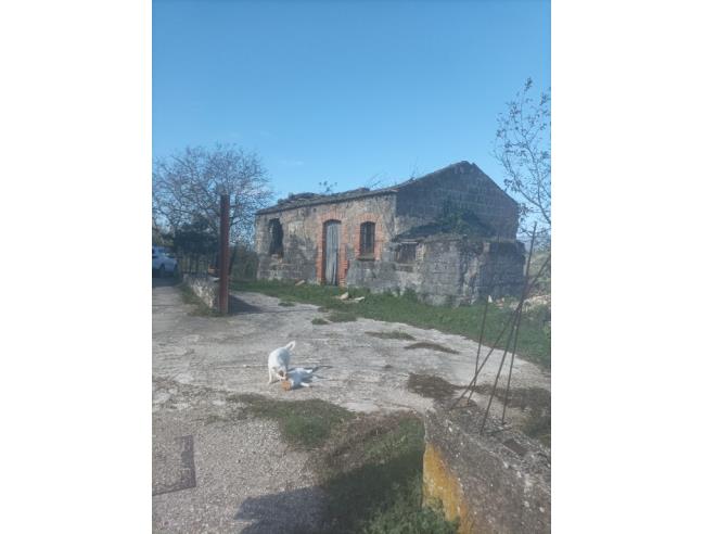 Anteprima foto 2 - Terreno Agricolo/Coltura in Vendita a San Martino Valle Caudina (Avellino)