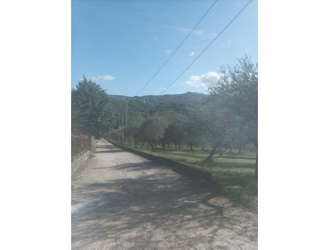 Anteprima foto 3 - Terreno Agricolo/Coltura in Vendita a San Martino Valle Caudina (Avellino)