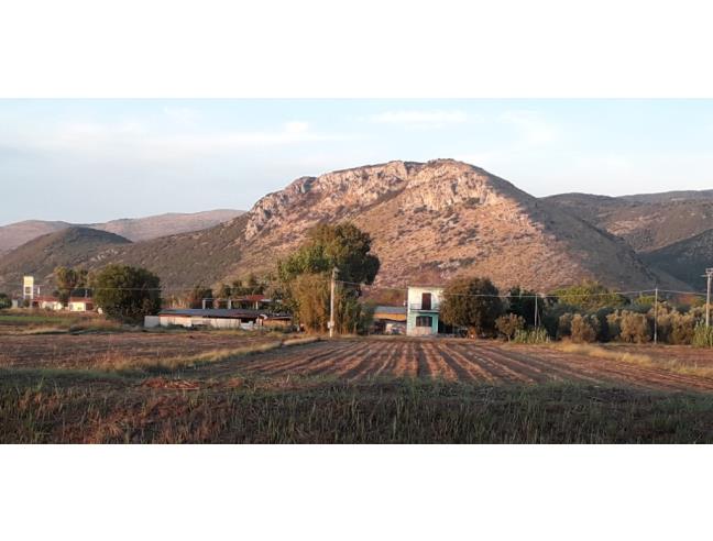 Anteprima foto 3 - Terreno Agricolo/Coltura in Vendita a Terracina - Borgo Hermada