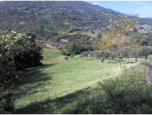 Anteprima foto 3 - Terreno Agricolo/Coltura in Vendita a Torricella Sicura - Villa Tofo