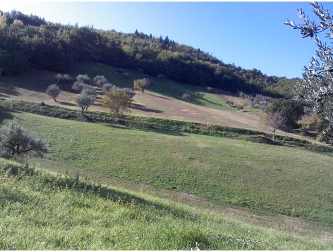 Anteprima foto 4 - Terreno Agricolo/Coltura in Vendita a Torricella Sicura - Villa Tofo