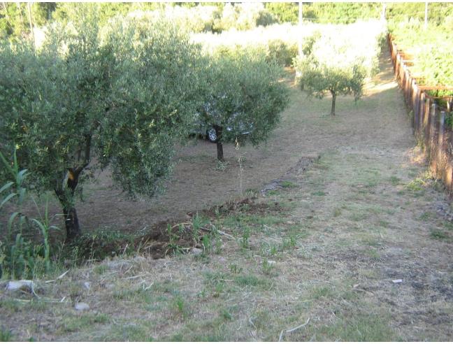 Anteprima foto 4 - Terreno Agricolo/Coltura in Vendita a Velletri (Roma)