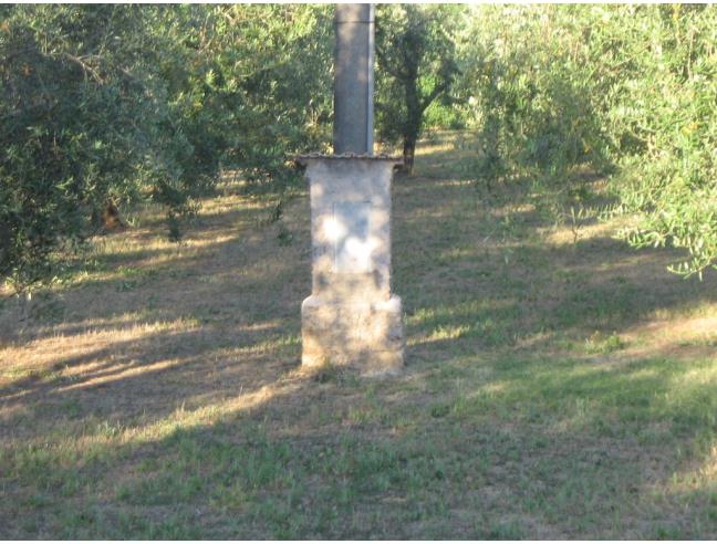 Anteprima foto 5 - Terreno Agricolo/Coltura in Vendita a Velletri (Roma)