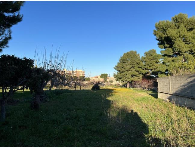Anteprima foto 6 - Terreno Edificabile Residenziale in Vendita a Bisceglie (Barletta-Andria-Trani)