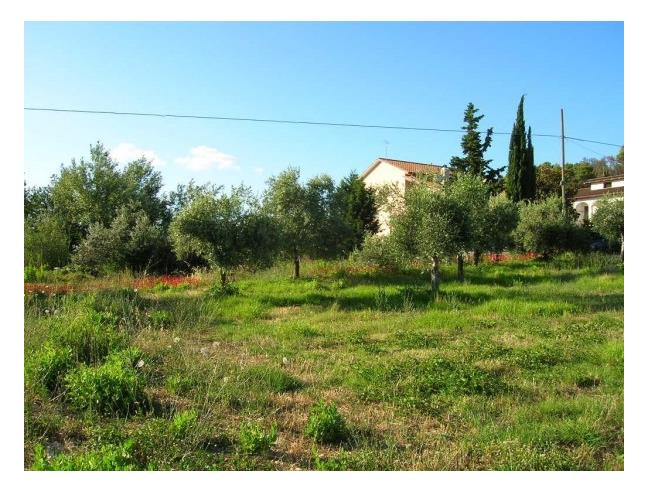 Anteprima foto 1 - Terreno Edificabile Residenziale in Vendita a Calvi dell'Umbria - Poggiolo