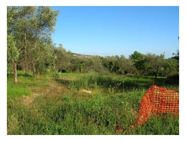 Anteprima foto 3 - Terreno Edificabile Residenziale in Vendita a Calvi dell'Umbria - Poggiolo