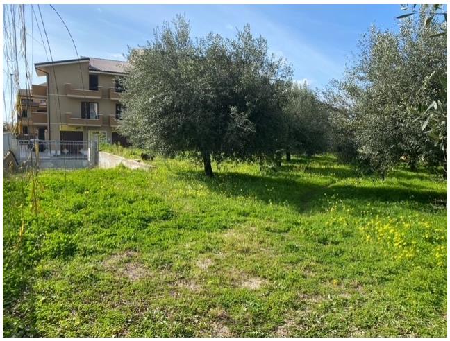 Anteprima foto 1 - Terreno Edificabile Residenziale in Vendita a Campo Calabro (Reggio Calabria)