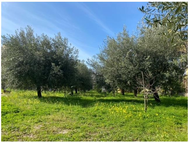 Anteprima foto 2 - Terreno Edificabile Residenziale in Vendita a Campo Calabro (Reggio Calabria)