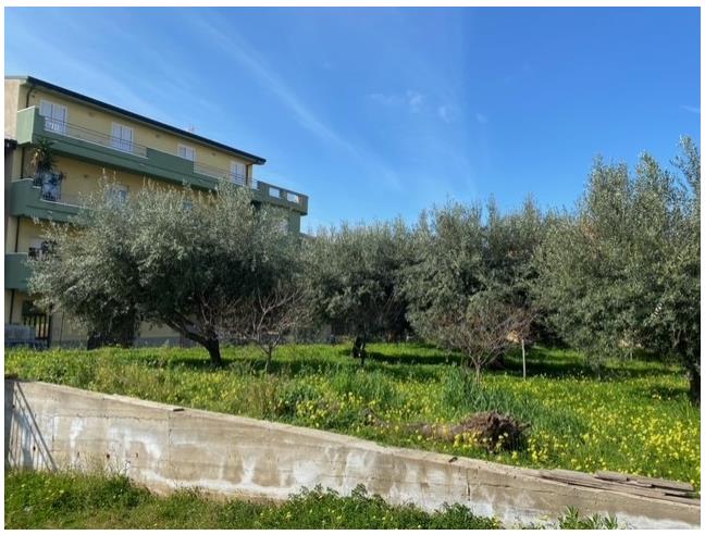 Anteprima foto 4 - Terreno Edificabile Residenziale in Vendita a Campo Calabro (Reggio Calabria)