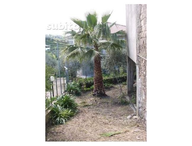 Anteprima foto 5 - Terreno Edificabile Residenziale in Vendita a Capri Leone (Messina)