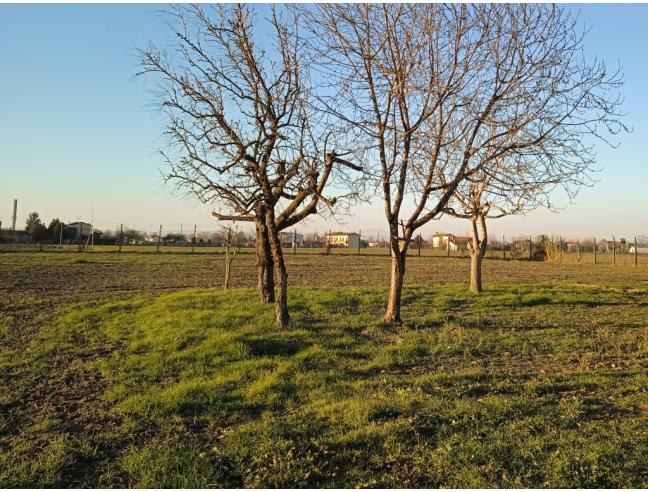 Anteprima foto 2 - Terreno Edificabile Residenziale in Vendita a Carceri (Padova)