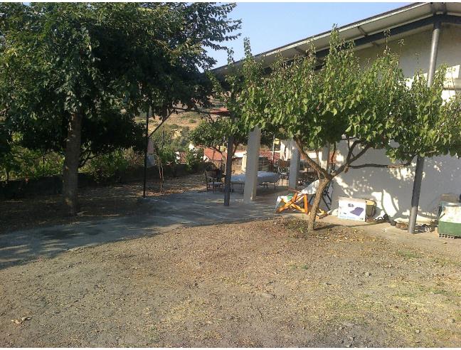 Anteprima foto 5 - Terreno Edificabile Residenziale in Vendita a Ferruzzano (Reggio Calabria)