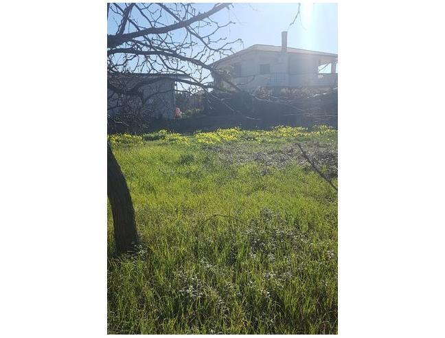 Anteprima foto 2 - Terreno Edificabile Residenziale in Vendita a Lamezia Terme (Catanzaro)