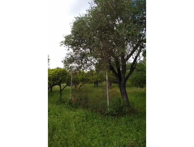 Anteprima foto 6 - Terreno Edificabile Residenziale in Vendita a Oria (Brindisi)