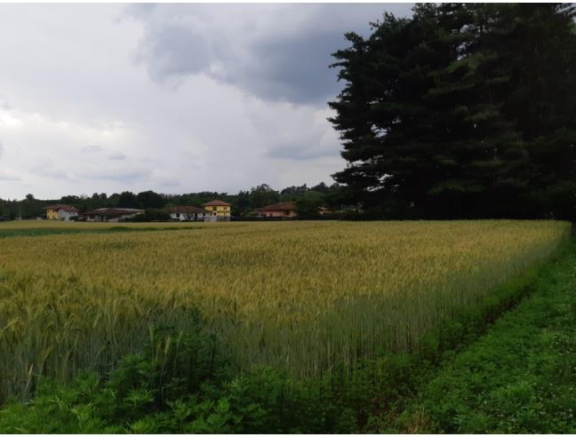Anteprima foto 2 - Terreno Edificabile Residenziale in Vendita a Varallo Pombia (Novara)