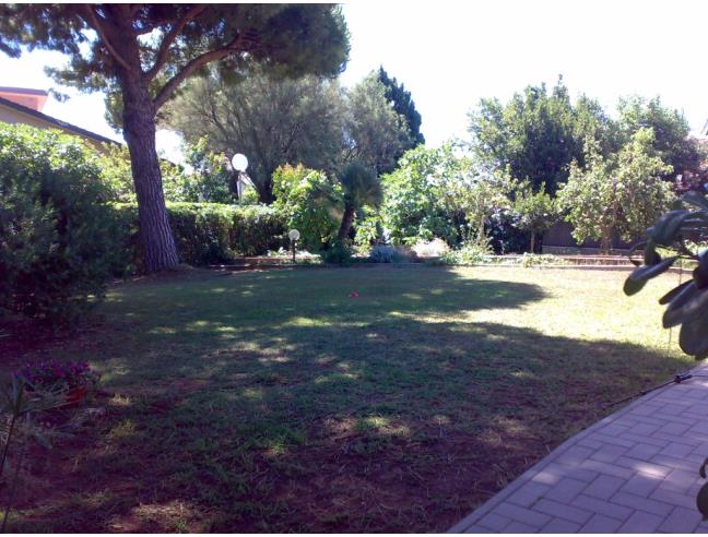 Anteprima foto 3 - Villa in Affitto a Ladispoli - Marina San Nicola