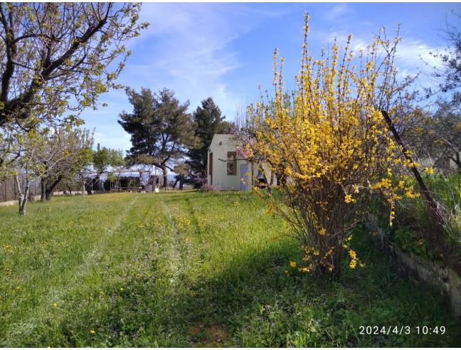 Anteprima foto 6 - Villa in Vendita a Miglionico (Matera)