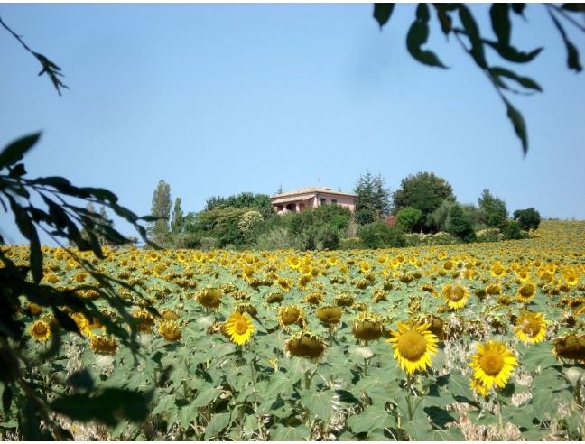 Anteprima foto 1 - Villa in Vendita a Orciano di Pesaro (Pesaro e Urbino)
